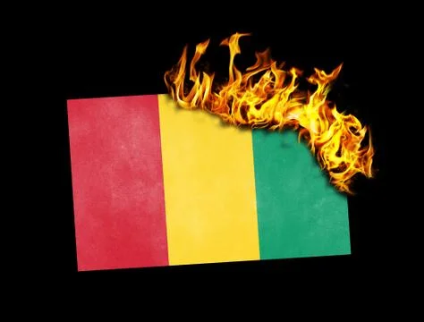 Flag burning - Guinea Stock Illustration