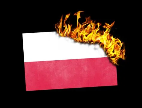 Flag burning - Poland Stock Illustration