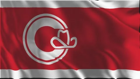 Flag of Calgary waving slowly Stock Footage 341503119