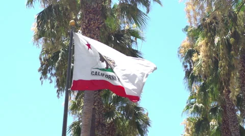 Flag of California Stock Footage 67960385