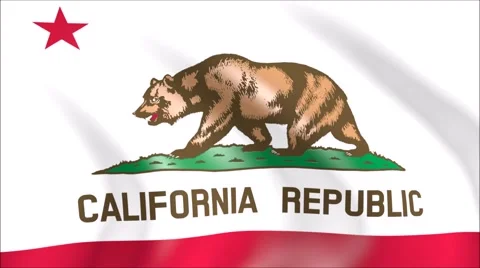 Flag of California with gold embossed Stock Footage 65147995