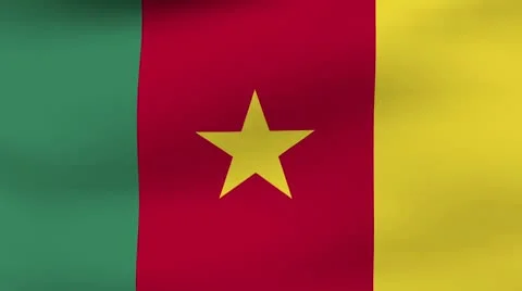 Flag Cameroen Stock Footage 10572450