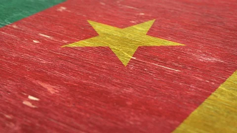 Flag Of Cameroon. 1080p, 60fps Stock Footage 117113902