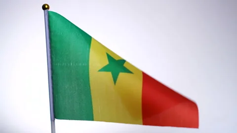 Flag of Cameroon on flagpole flying and waving in the wind. Stock Footage 124499143