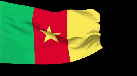 Flag of Cameroon Stock Footage 1055453