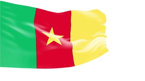 Flag of Cameroon Stock Footage 1055479