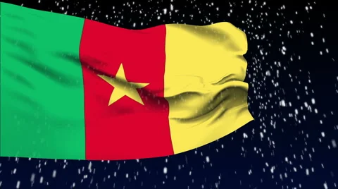 Flag of Cameroon Stock Footage 1055491