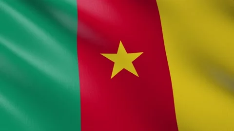 Flag of Cameroon Stock Footage 150989821