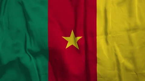 Flag of Cameroon Stock Footage 202261482