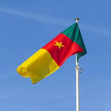 Flag of Cameroon Stock Photos
