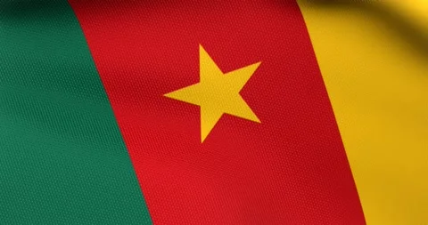 Flag of Cameroon Waving 3D Animation Close up, 4K UHD 60 FPS Stock Footage 160686419
