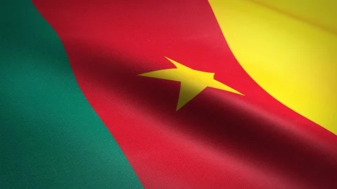 Flag of Cameroon. Waving flag with highly detailed fabric texture seamless Stock Footage 118852264