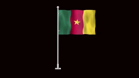 Flag of Cameroon waving Stock Footage 318784392