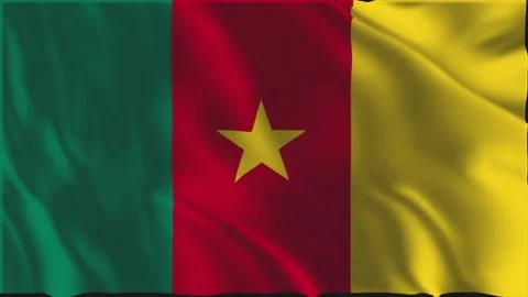 Flag of Cameroon waving slowly Stock-Footage 339107080