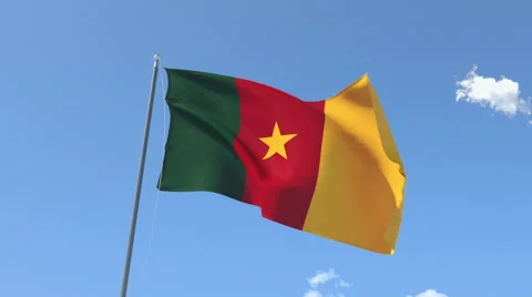 The flag of Cameroon Waving on the Wind. Stock Footage 40581256