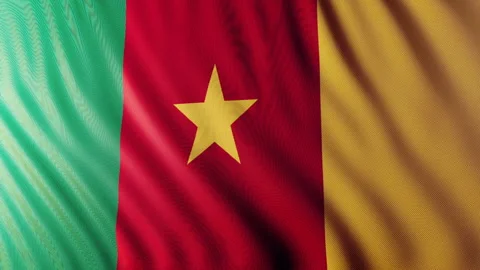 Flag of Camerun Video stock 295272282