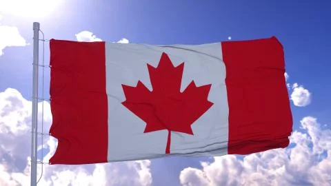 Flag of Canada also known as the maple leaf fluttering in the breeze. Stock Photos