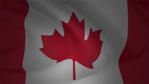 Flag Of Canada Background Animation Collection Stockbeeldmateriaal 90877432