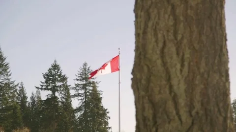 Flag of Canada at Burnaby Mountain Park Stock Footage 71379247