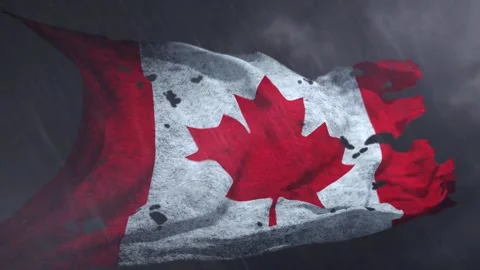 Flag of canada, canada Waving flag loop Stock Footage 309416849