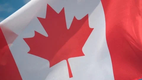 Flag of Canada. The flag of Canada develops in the wind against a sky. Video stock 107485455