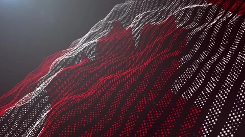 The flag of Canada. A flag consisting of dots. Graphics. Colors of the flag. 動画素材 247471128