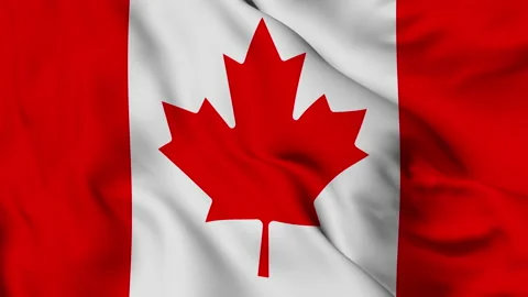 Flag of Canada fluttering in the wind Stock Footage 139714370