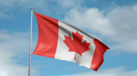 Flag of Canada Video stock 442227