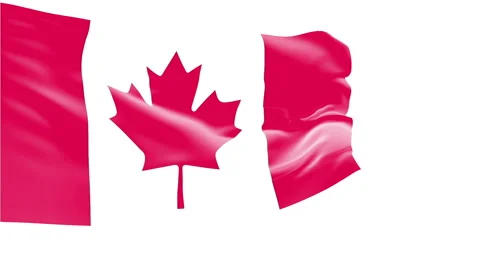 Flag of Canada Stock Footage 1055519