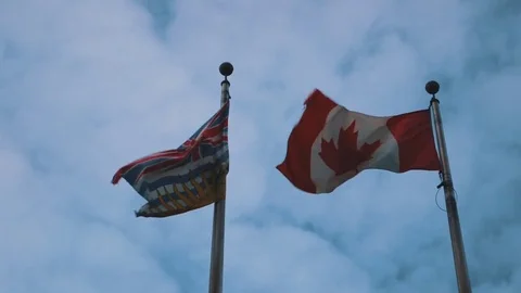 Flag of canada Stock Footage 71943661