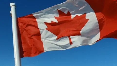 Flag of Canada Video stock 87191592