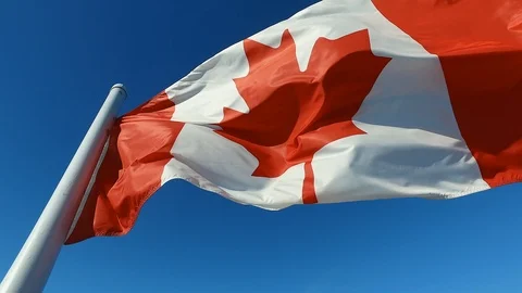 Flag of Canada Stock-Footage 87201158