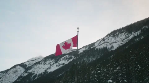 Flag of Canada Stock Footage 246878599