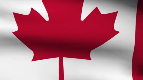 Flag of canada on pole Stock Footage 908146