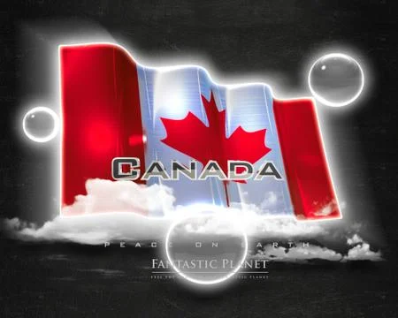Flag Canada quality designer flag Stock Illustration