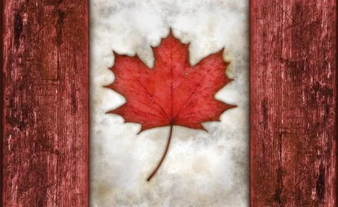 Flag of canada with real maple leaf and wooden planks Stock Photos