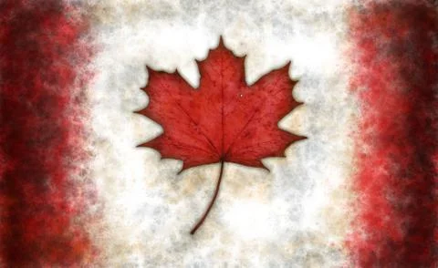 Flag of canada with real maple leaf Stock Photos
