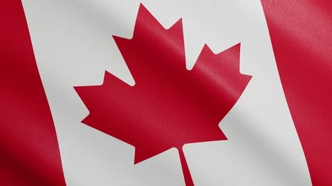 Flag of Canada with Realistic Fabric Texture Waving in the Wind. Video stock 128593896