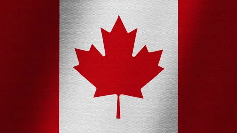Flag of Canada. Slow flutter of the canvas. Fluctuation of the fabric. Stock-Footage 145159187