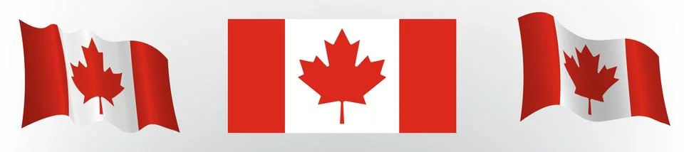 Flag of Canada in a static position and in motion, developing in the wind Illustrazione stock