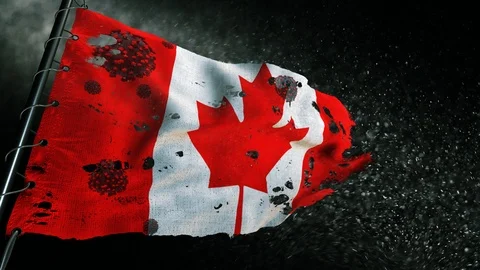 The flag of Canada is torn and marked with the virus of covid-19 . Видео 127196322