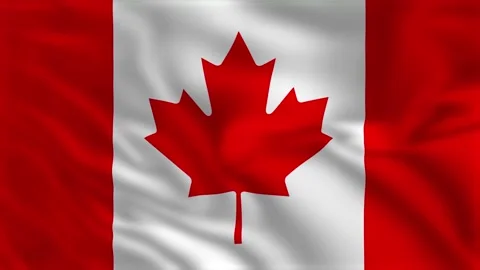 Flag of Canada - Waving Flag Animation 库存影片 138998147