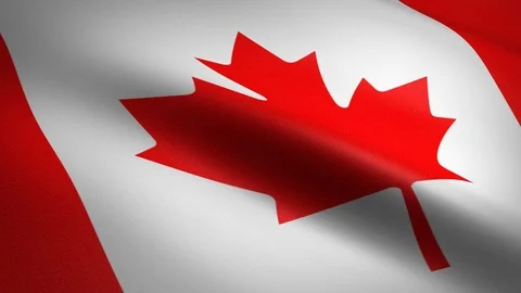 Flag of Canada. Waving flag with highly detailed fabric texture seamless Stock-Footage 118162334
