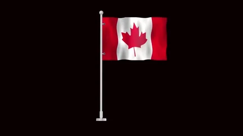 Flag of Canada waving Stock Footage 318784389