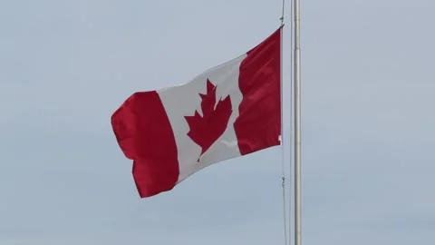 Flag of Canada Waving Gracefully Against A Pale Blue Grey Cloudless Sky Stock Footage 243717143