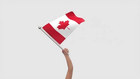 Flag of Canada waving in hand - 3d render looped with alpha channel. Stock Footage 242570809