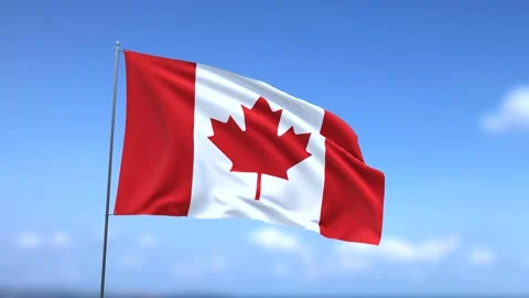 Flag of Canada waving in the sky Stock Footage 167813179
