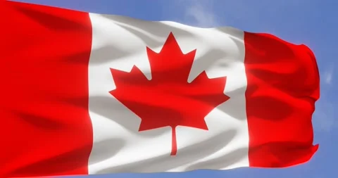 Flag of Canada waving in the sky. Seamless looping animation. Stock Footage 173119491