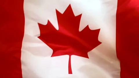 Flag of Canada waving in the wind close-up Stock Footage 125288367
