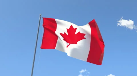 The flag of Canada Waving on the Wind. Video stock 40581037